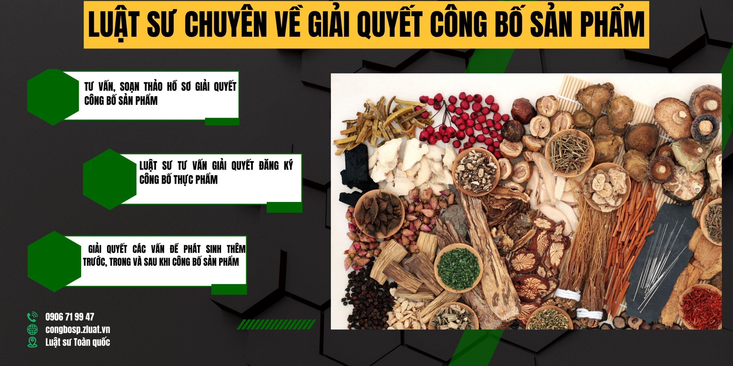 Gói hỗ trợ đăng ký công bố cho thực phẩm chức năng mới vùng Bình Dân, Vân Đồn, Quảng Ninh - Ảnh 1