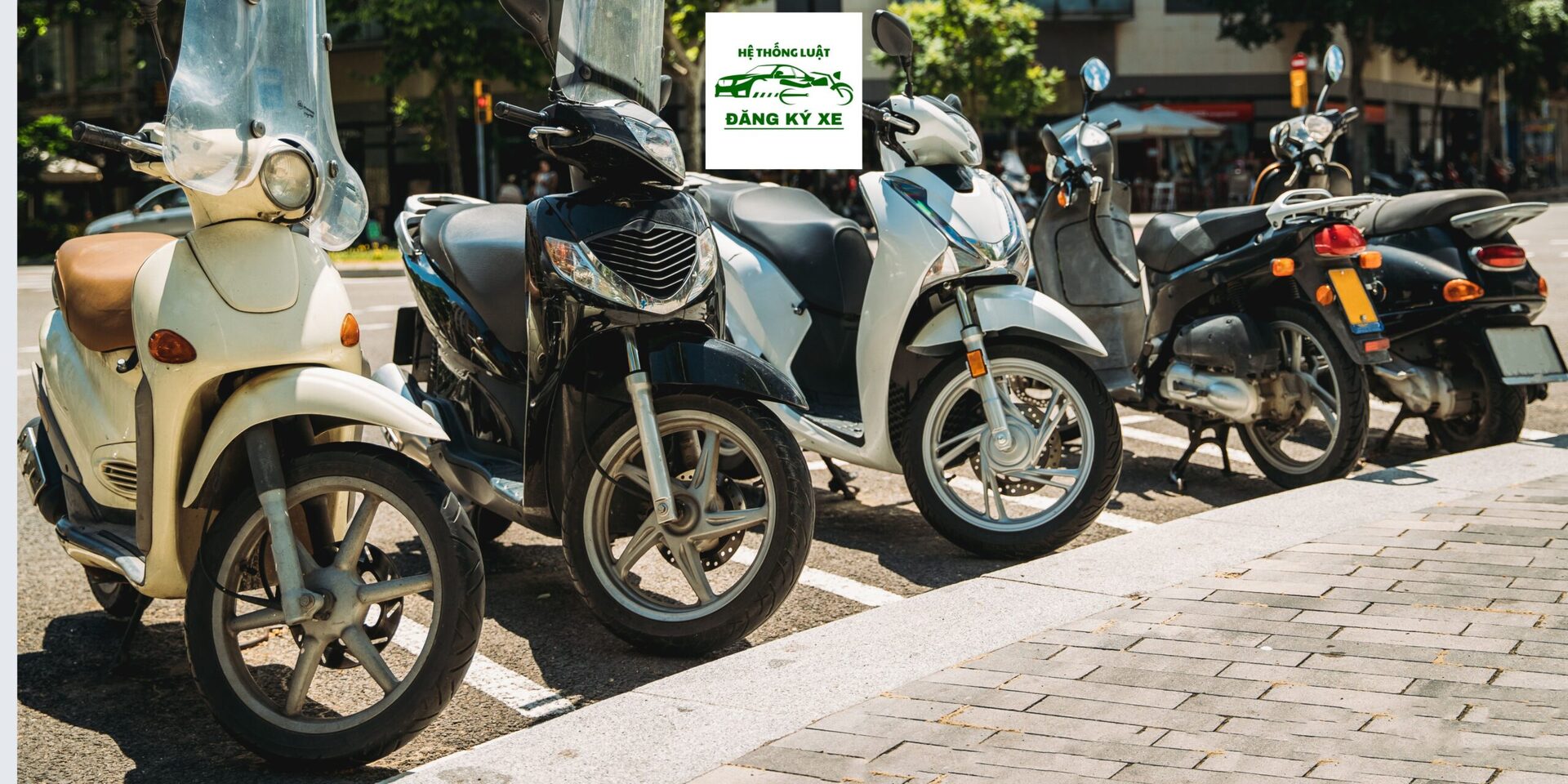[DỊCH VỤ ĐĂNG KÝ XE] -  Trọn gói hỗ trợ Đăng ký sang tên xe ở khu vực xã Cổ Lũng, Thanh Hóa<br><br> - Ảnh 2
