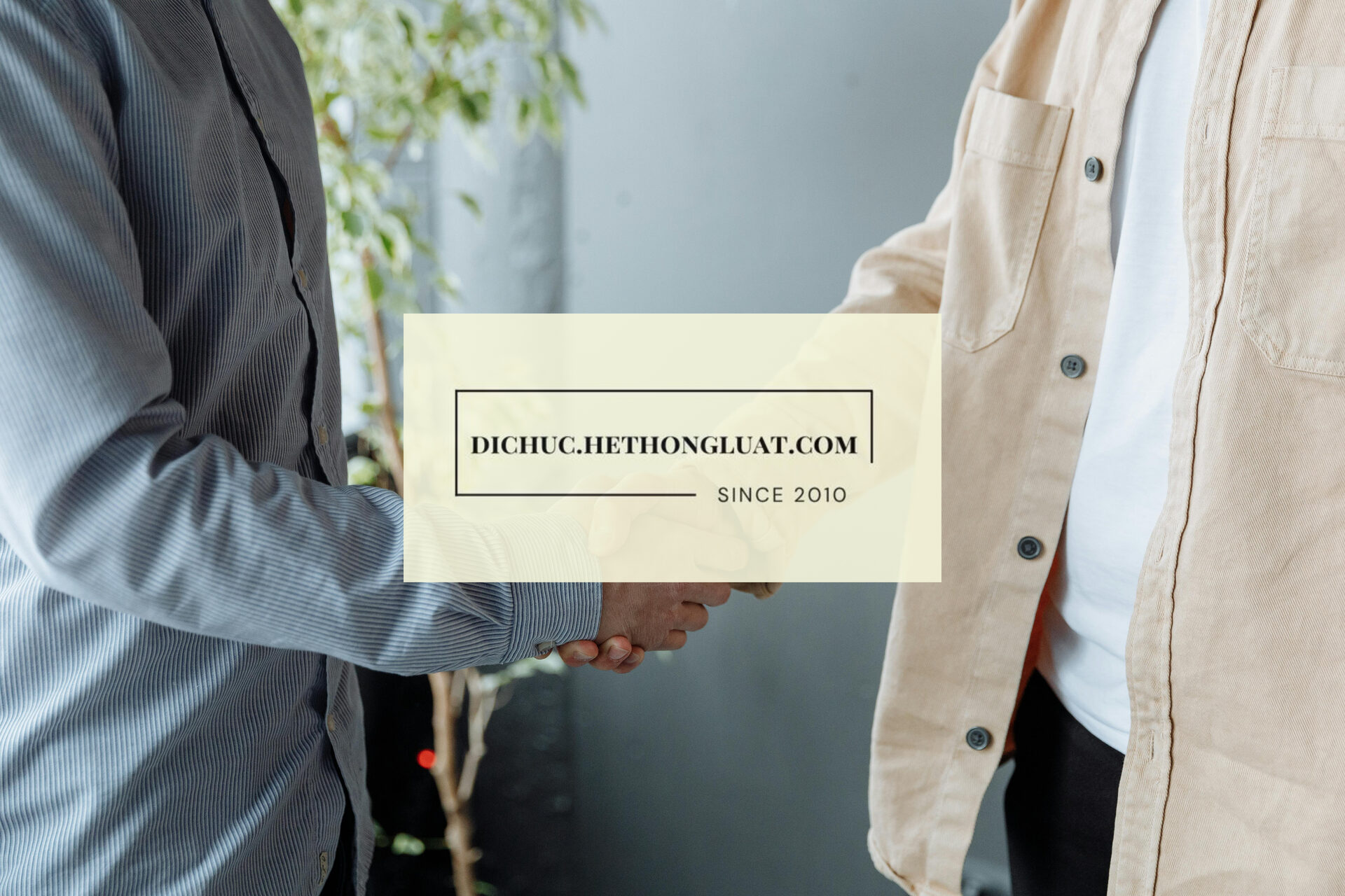 [LUẬT SƯ - DI CHÚC - THỪA KẾ] - Luật sư soạn thảo di chúc để lại thừa kế ở địa điểm Đại Sơn, Sơn Động, Bắc Giang