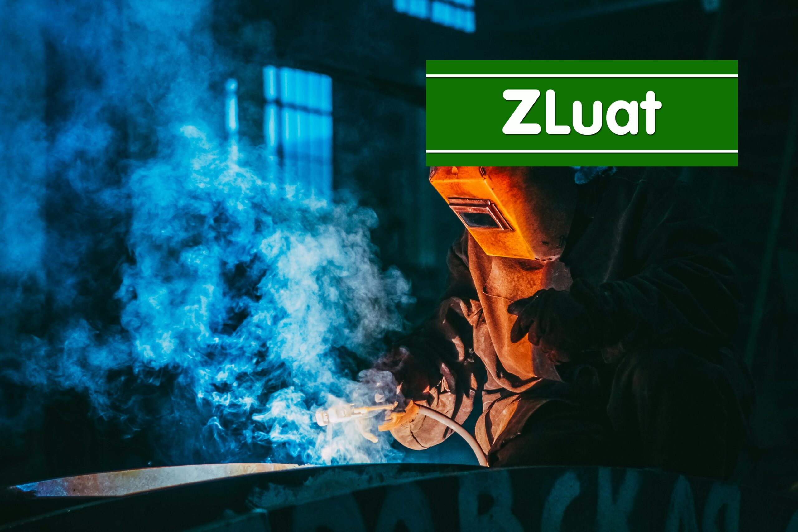 Dịch vụ hỗ trợ thỉnh cầu cấp Giấy phép hành nghề dành cho lao động nhập cư<br> - Ảnh 2