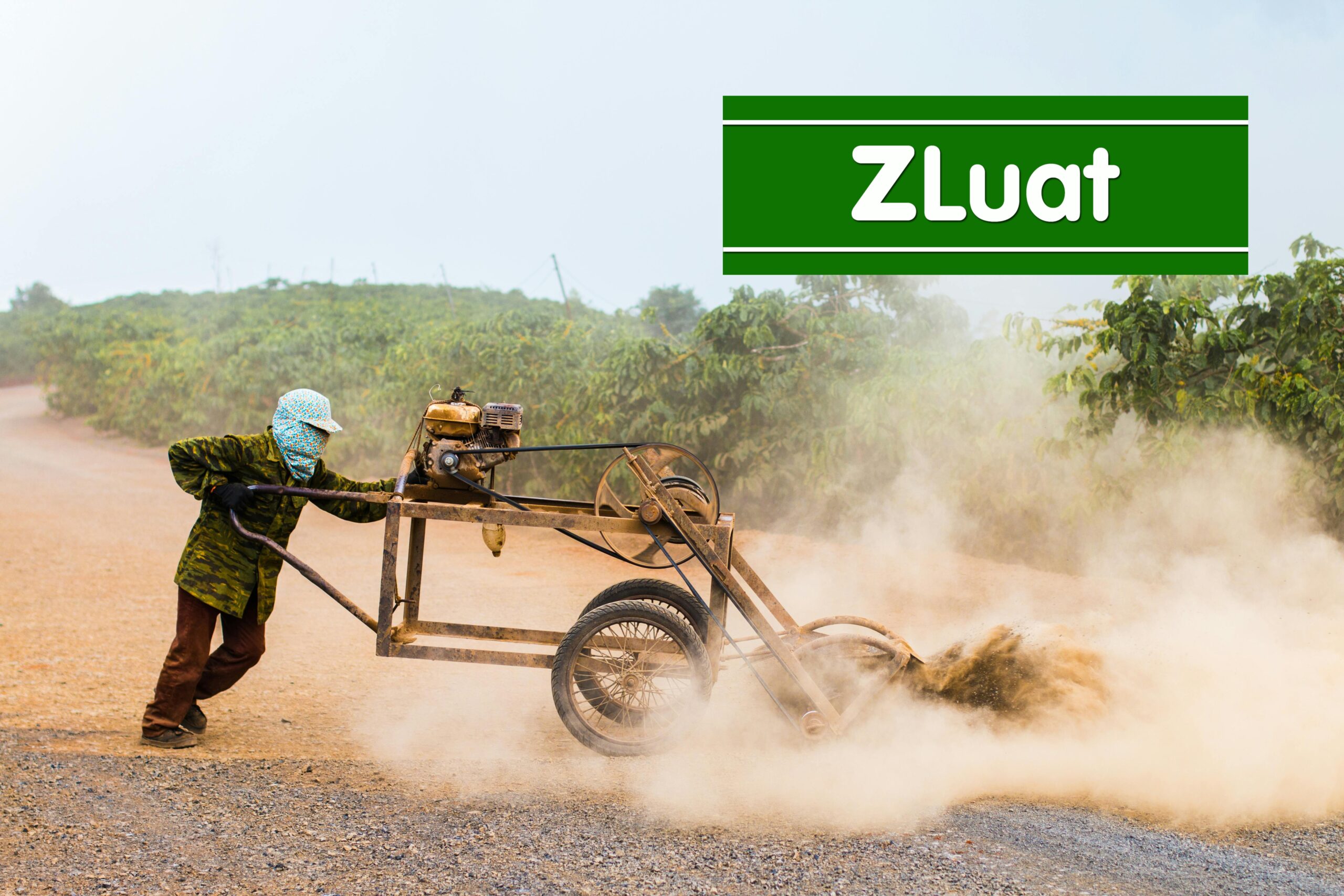 Dịch vụ đề xuất cấp Giấy phép hành nghề dành cho lao động nhập cư<br> - Ảnh 2