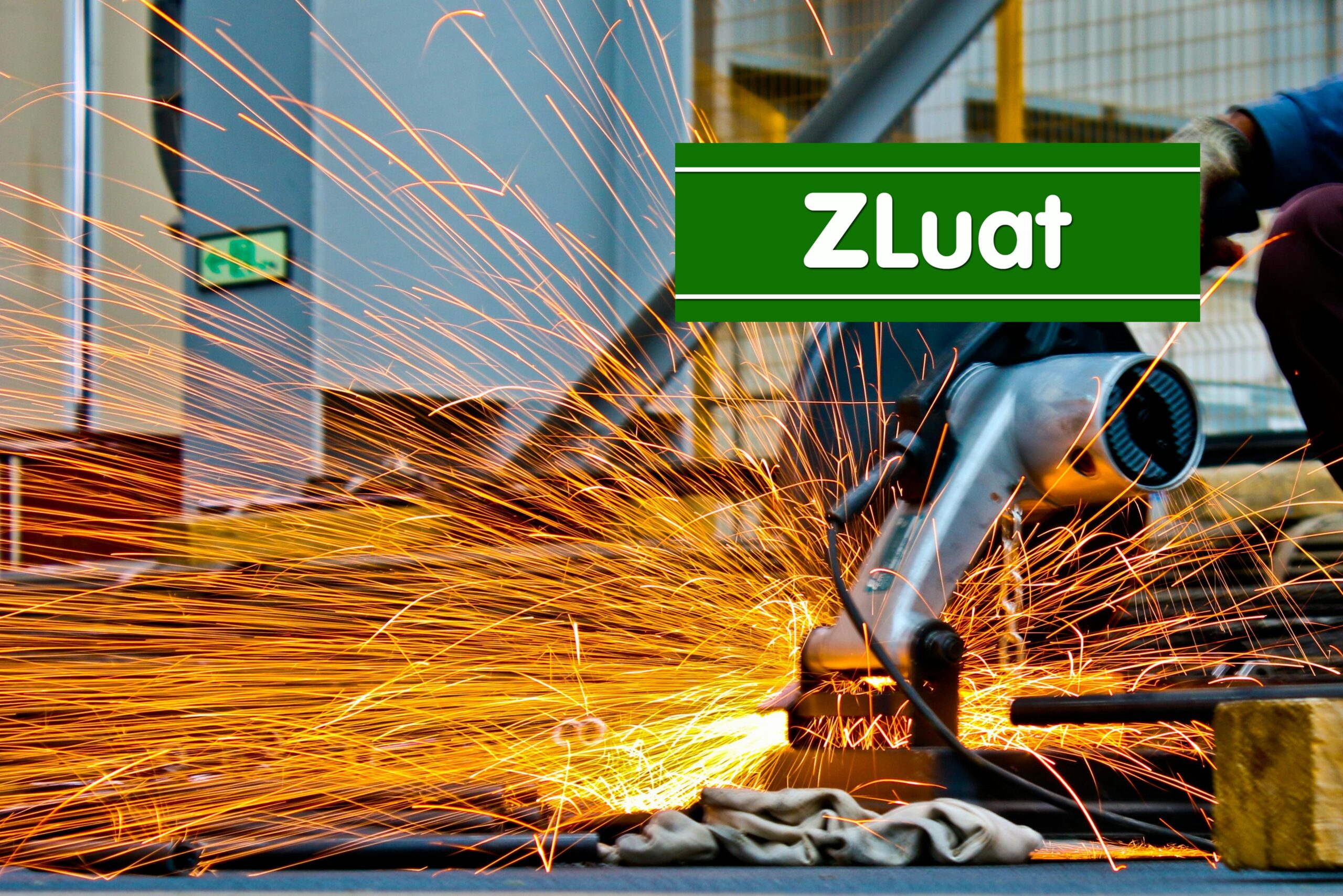 Dịch vụ yêu cầu cấp Giấy phép hành nghề dành riêng cho mục đích lao động nhập cư<br> - Ảnh 2
