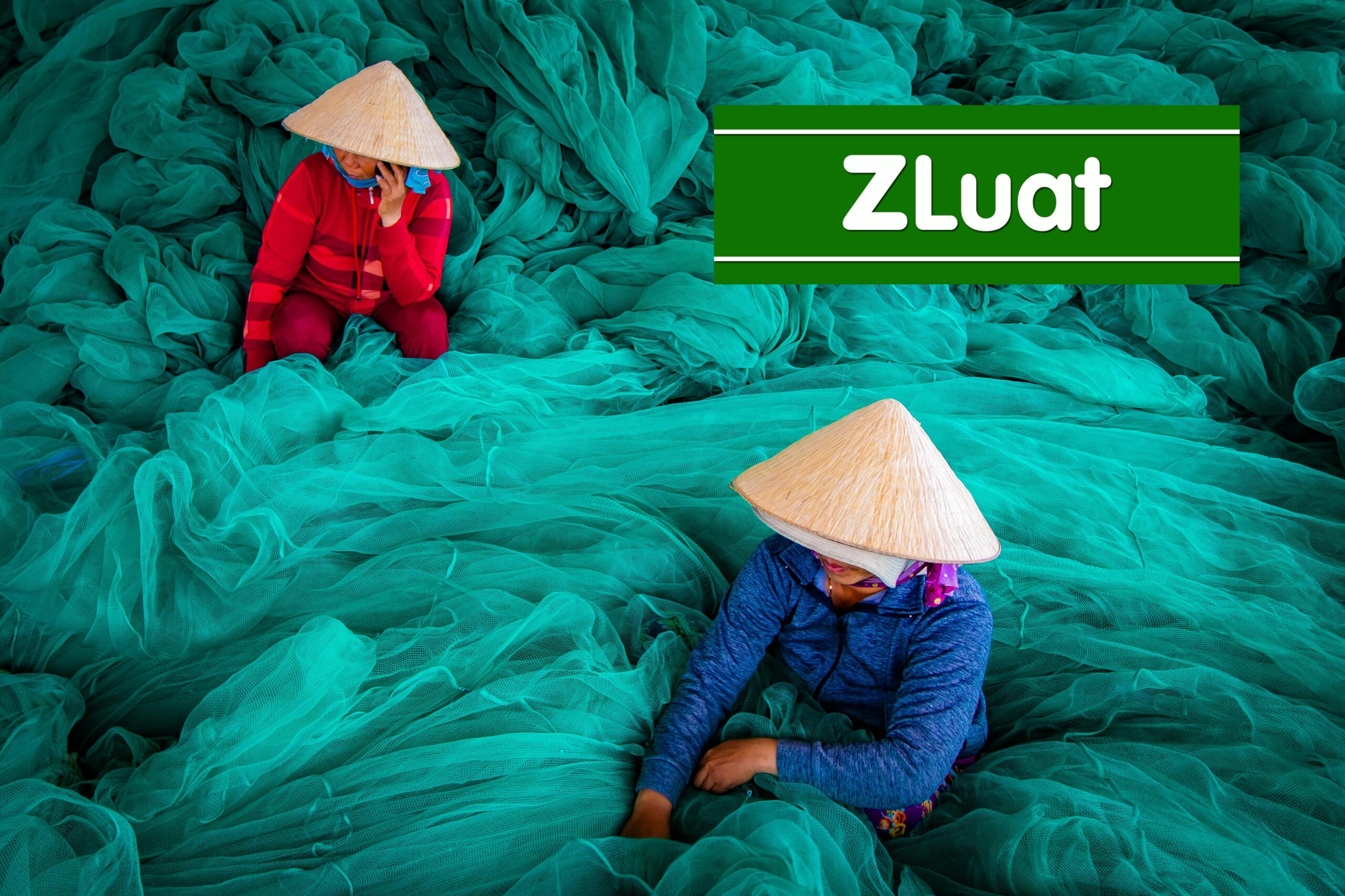 Gói Luật sư xin cấp Giấy phép hành nghề dành riêng cho mục đích lao động nước ngoài<br> - Ảnh 2