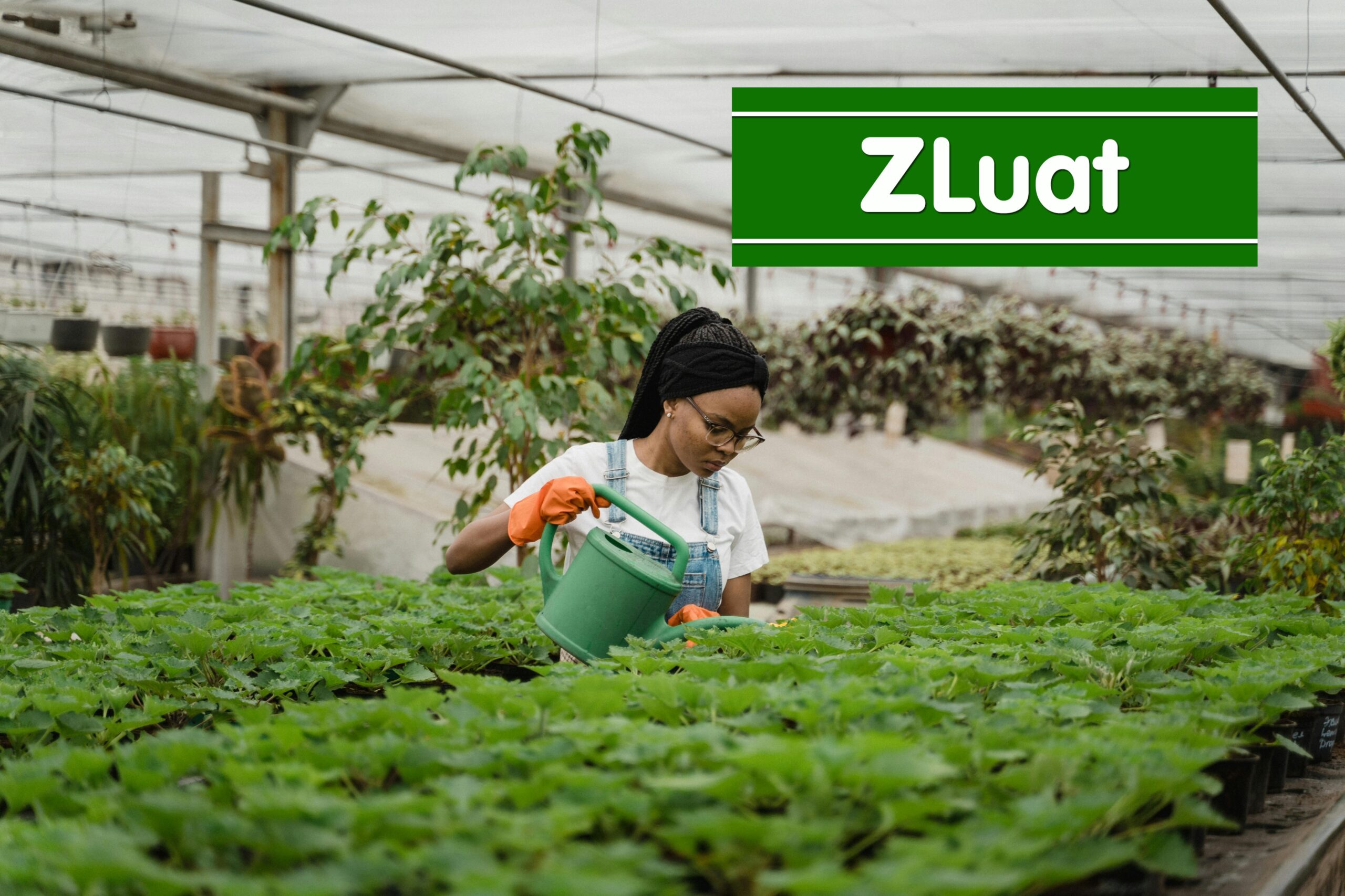 Dịch vụ đề nghị cấp Giấy phép công tác cho lao động nhập cư<br> - Ảnh 2