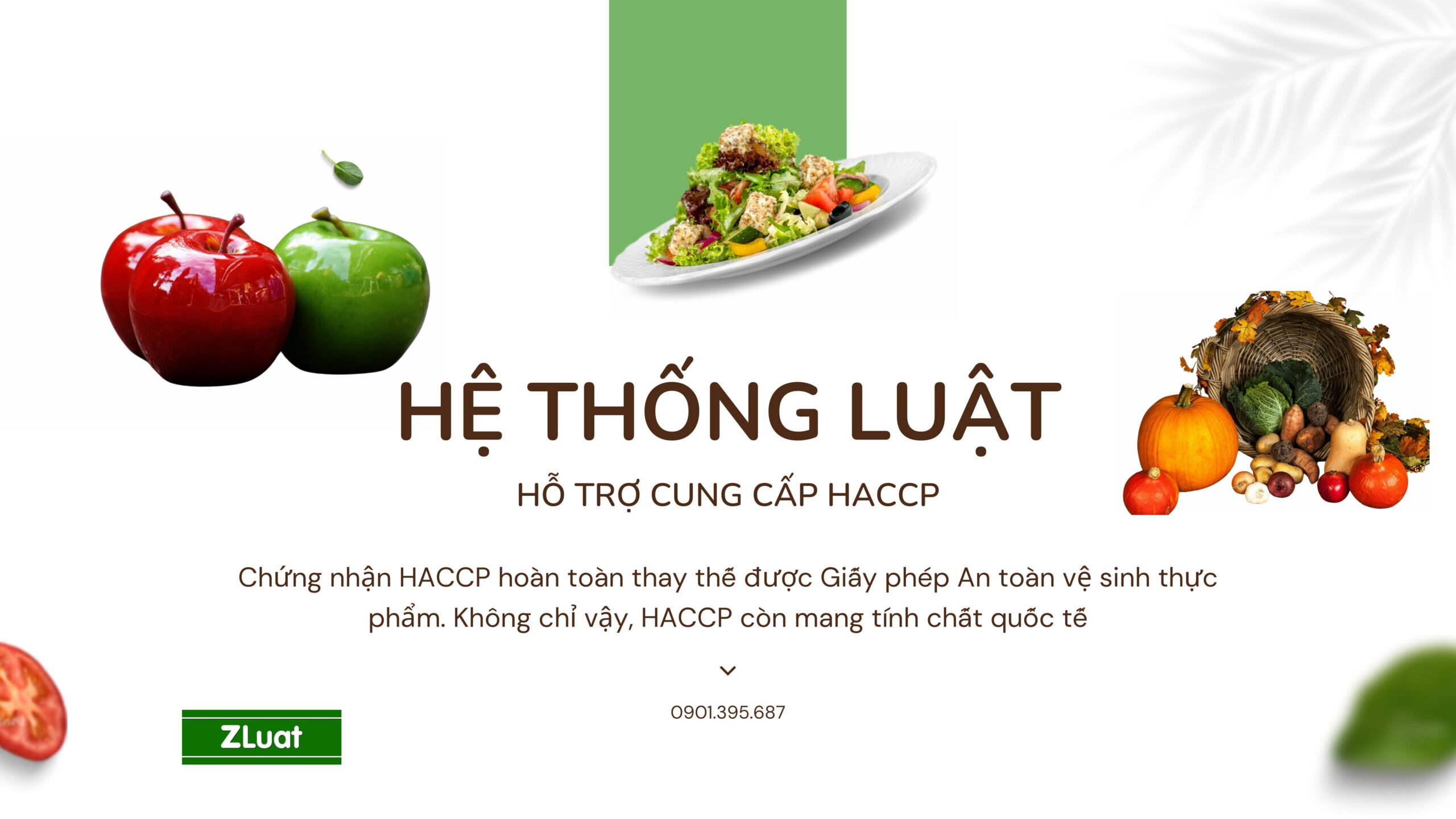 [HACCP.ZLUAT.VN] - Thủ tục cấp giấy chứng nhận HACCP - Trọn gói - Rẻ - Nhanh khu vực Xã Tân Lạc, tỉnh Phú Thọ