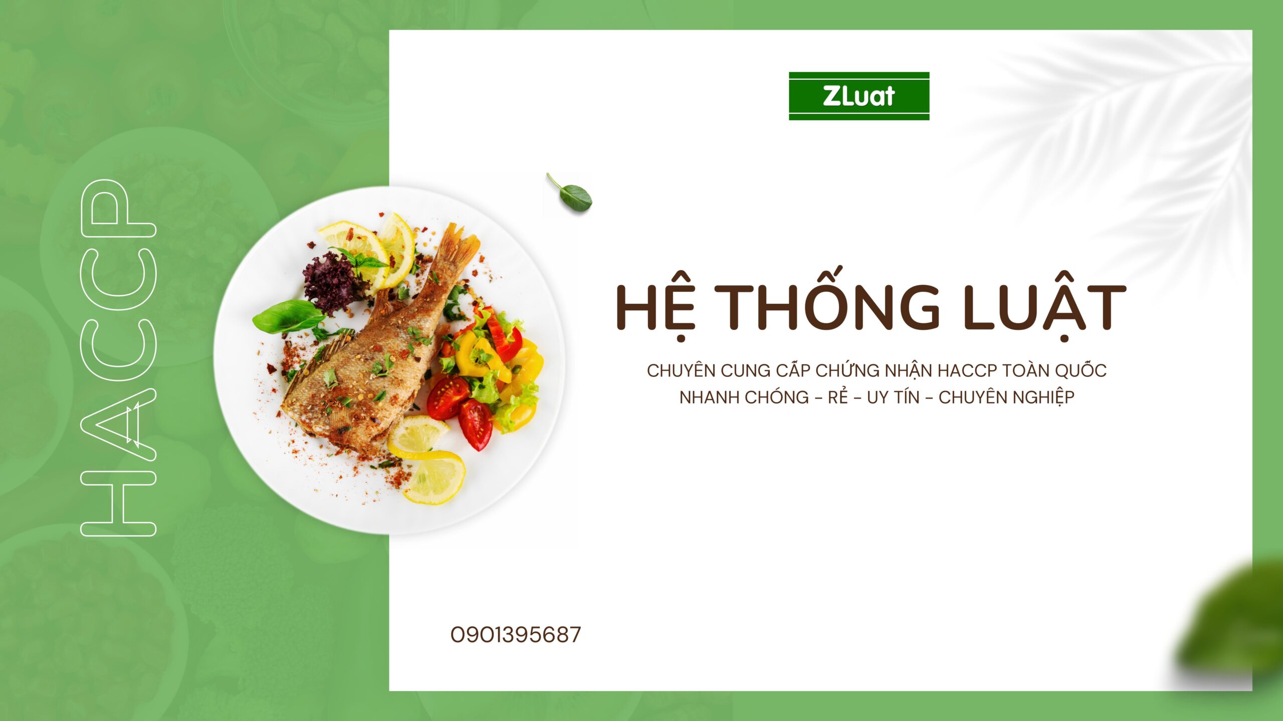 [LẠNG SƠN]- Dịch vụ cấp giấy chứng nhận HACCP - Trọn gói - Rẻ - Nhanh ở Lạng Sơn - Ảnh 1