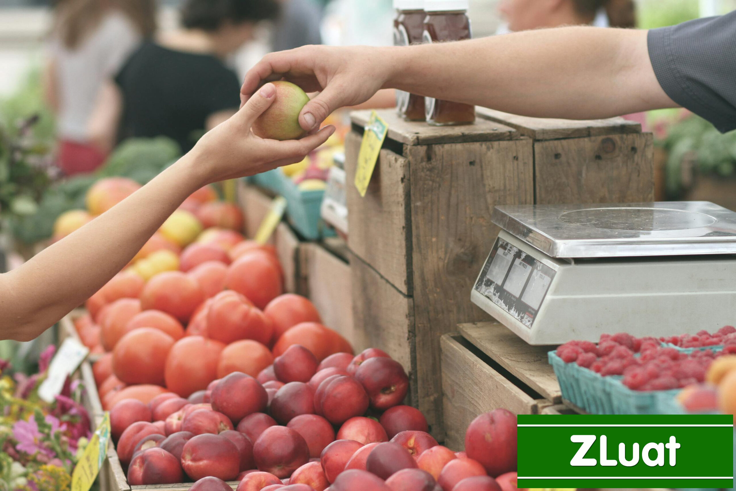 [BẮC NINH]- Dịch vụ cấp giấy chứng nhận HACCP - Rẻ - Trọn gói - Nhanh phạm vi Bắc Ninh - Ảnh 2