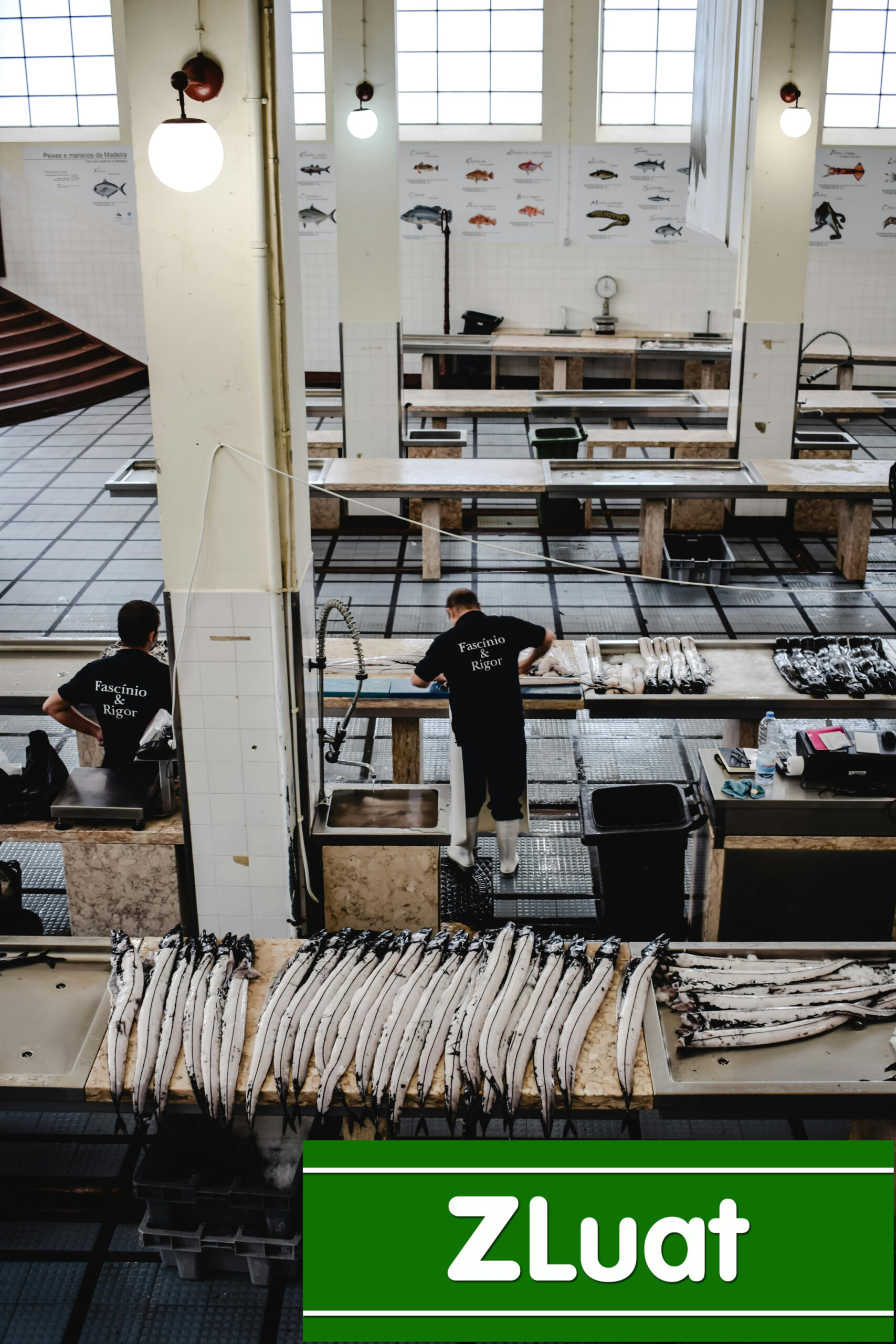 [CẦN THƠ]- Hỗ trợ cấp giấy chứng nhận HACCP - Trọn gói - Rẻ - Nhanh ở Cần Thơ - Ảnh 2