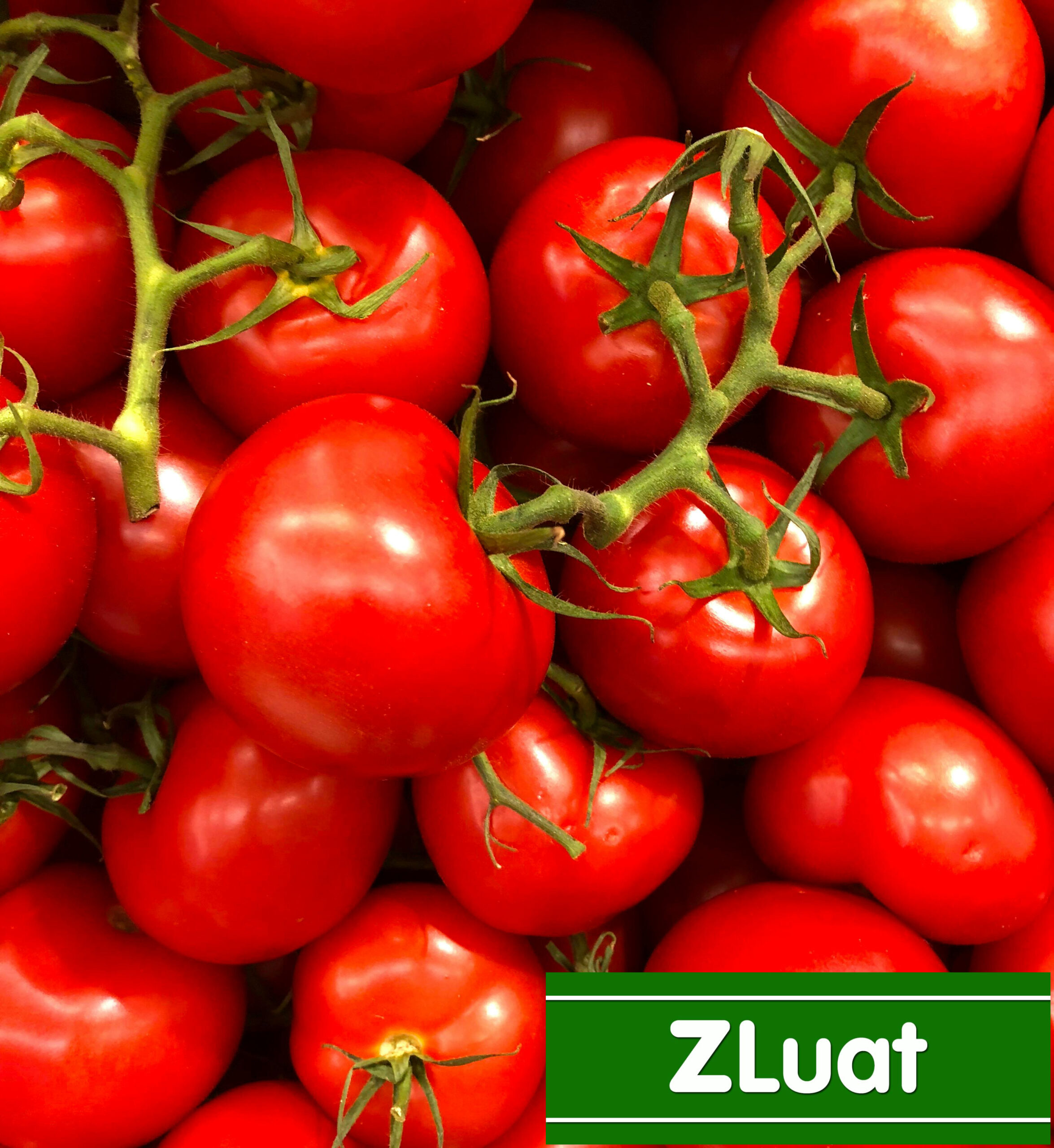 [VĨNH PHÚC]- Dịch vụ cấp giấy chứng nhận HACCP - Nhanh - Trọn gói - Rẻ ở Vĩnh Phúc - Ảnh 2
