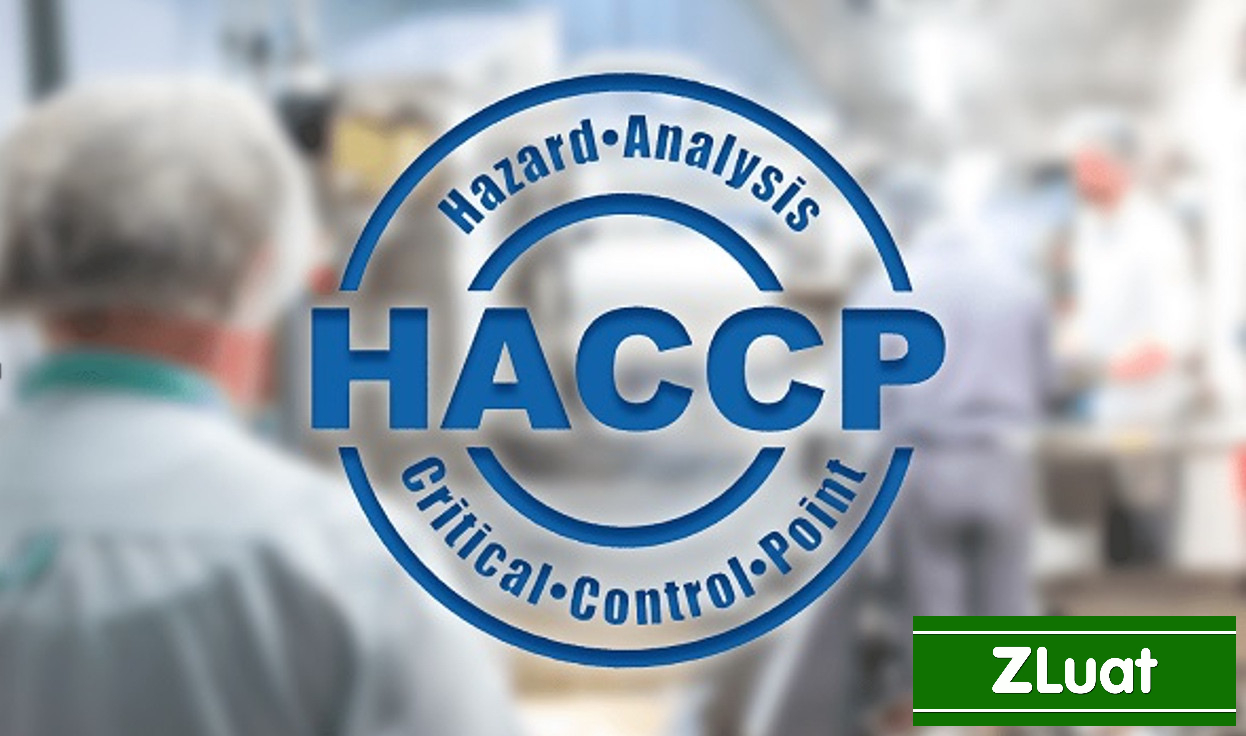 [QUẢNG TRỊ]- Thủ tục cấp giấy tiêu chuẩn HACCP - Nhanh - Trọn gói - Rẻ ở Quảng Trị - Ảnh 2
