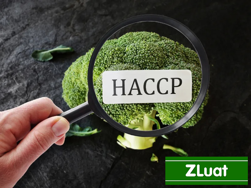 [LONG AN]- Thủ tục cấp giấy tiêu chuẩn HACCP - Rẻ - Trọn gói - Nhanh tại Long An - Ảnh 2
