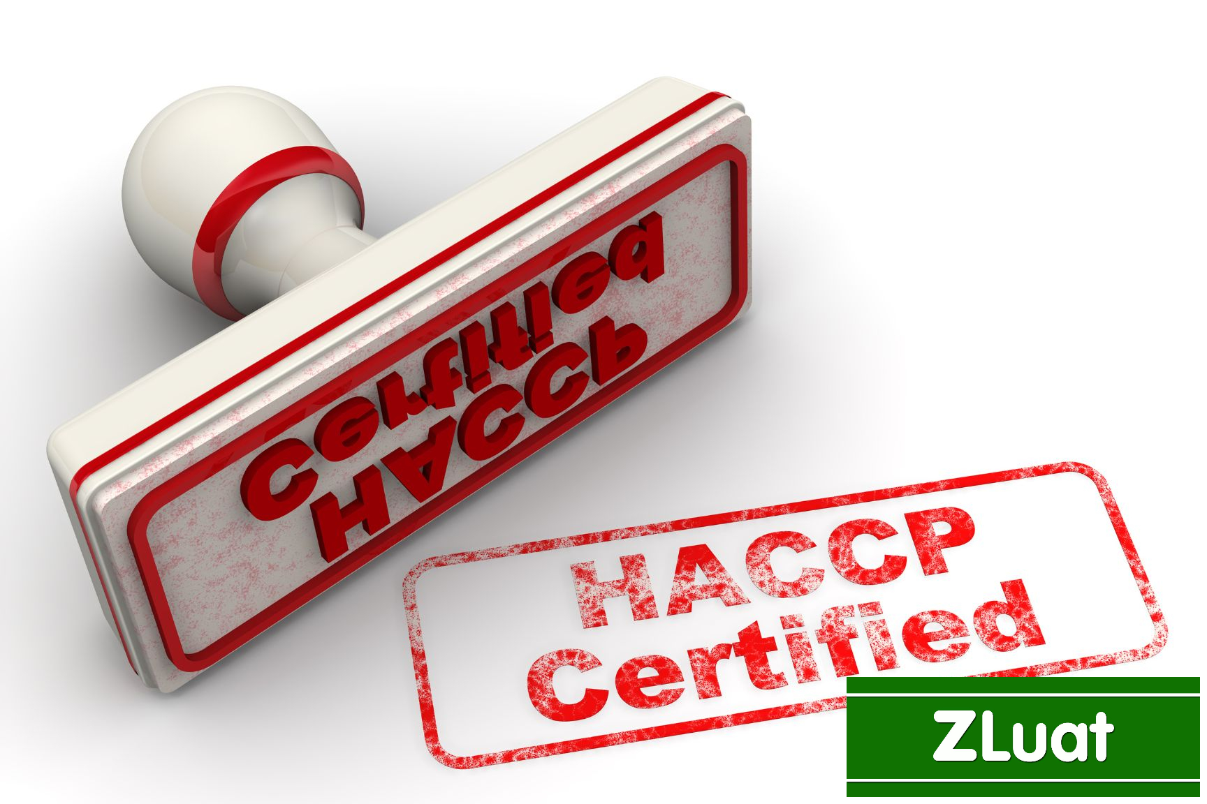 [ĐÀ NẴNG]- Thủ tục cấp giấy tiêu chuẩn HACCP - Rẻ - Trọn gói - Nhanh tại Đà Nẵng - Ảnh 2