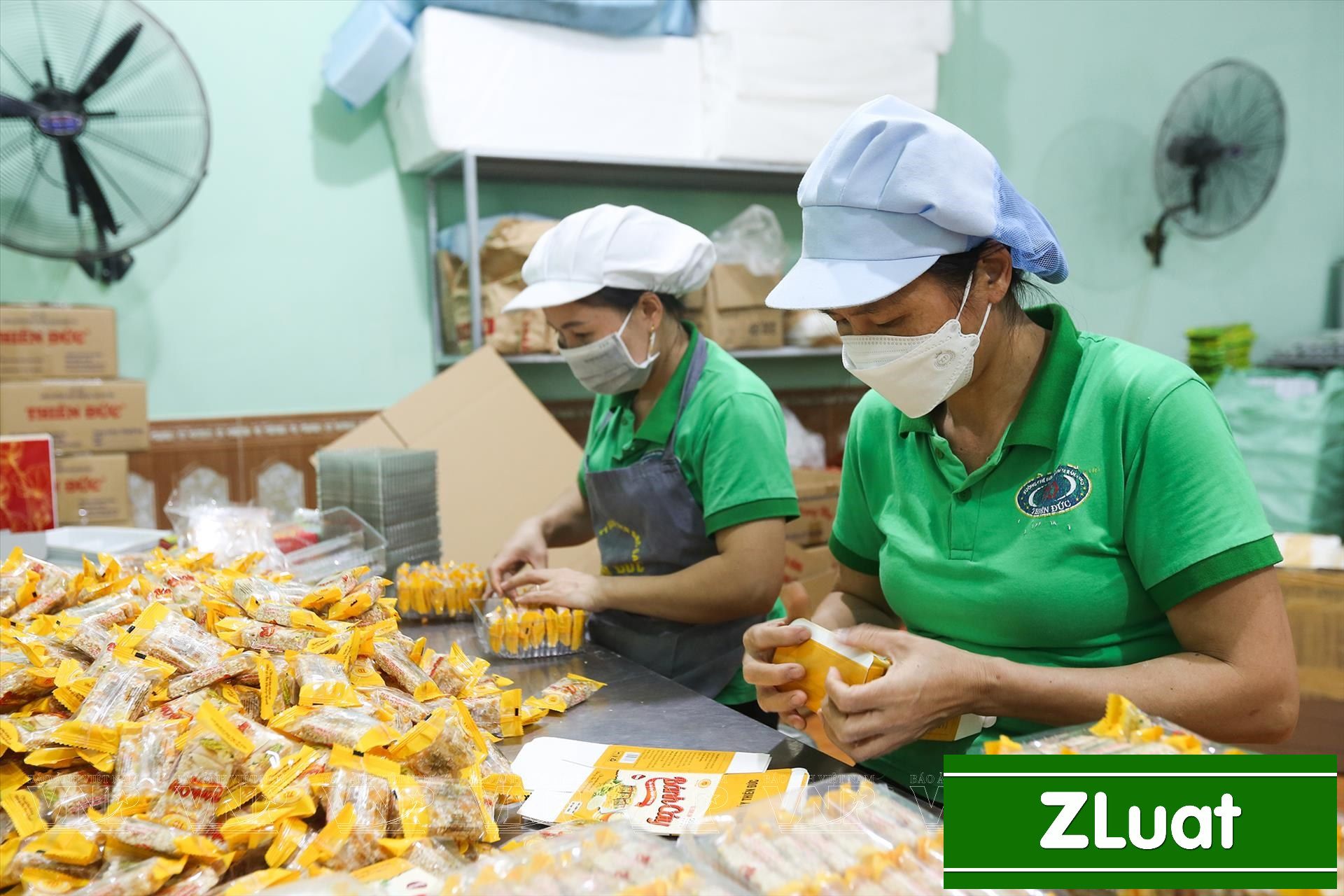 [BẮC NINH]- Dịch vụ cấp giấy tiêu chuẩn HACCP - Trọn gói - Rẻ - Nhanh phạm vi Bắc Ninh - Ảnh 2