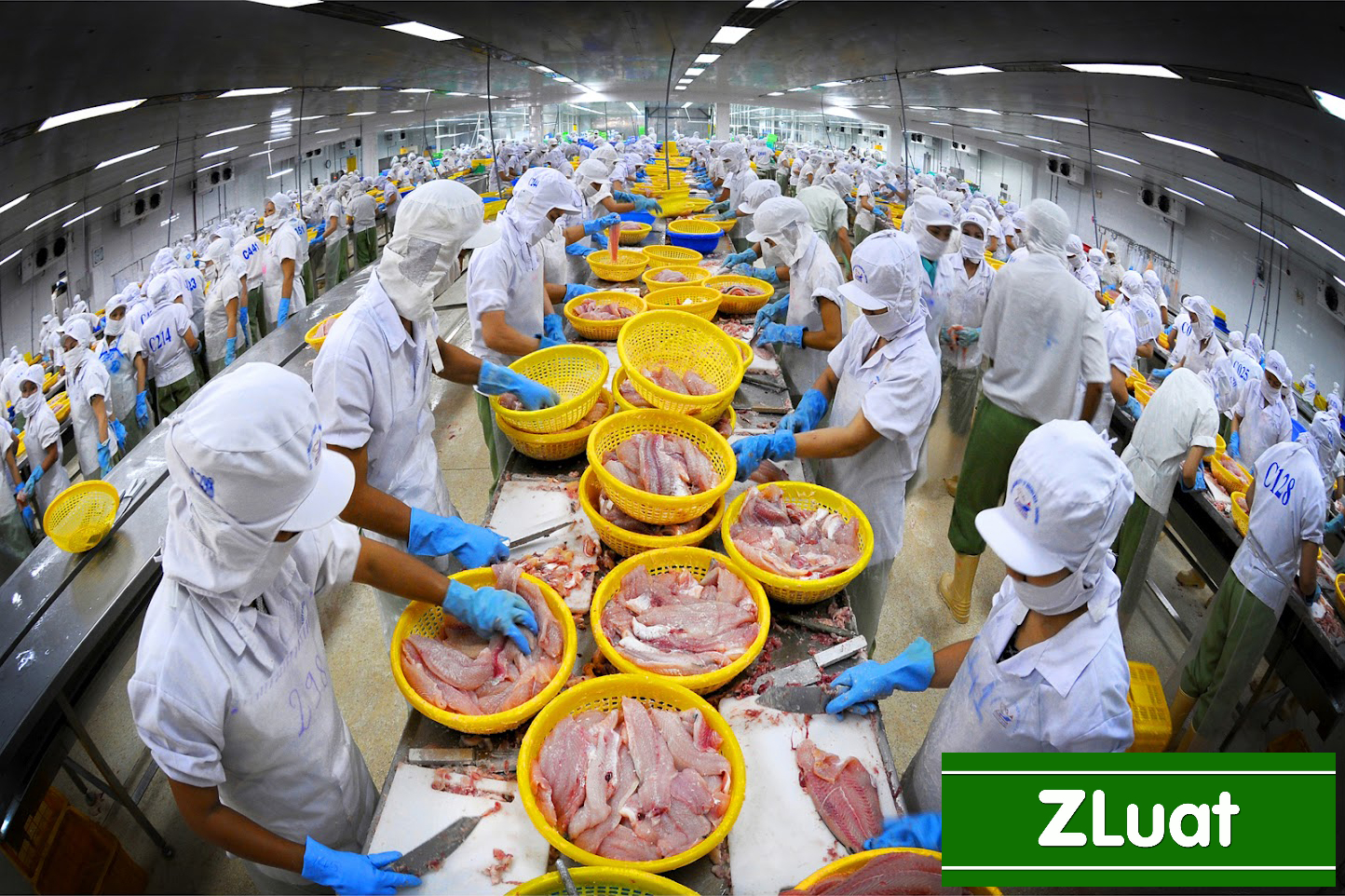 [TP.HCM]- Dịch vụ cấp giấy chứng nhận HACCP - Nhanh - Trọn gói - Rẻ phạm vi TP.HCM - Ảnh 2