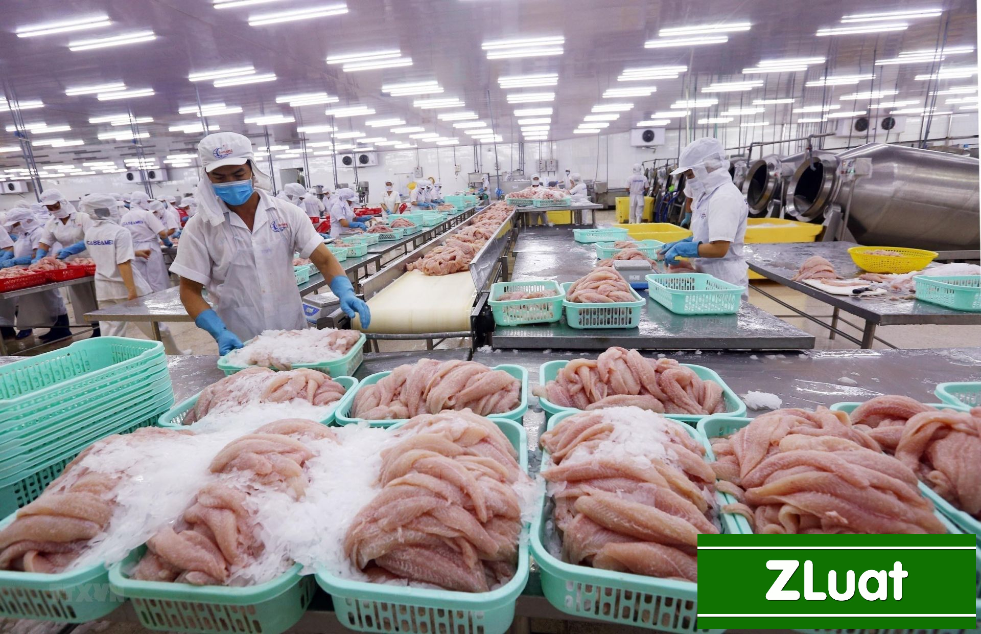 [CHIÊU VŨ, BẮC SƠN, LẠNG SƠN]- Hỗ trợ cấp giấy tiêu chuẩn HACCP - Trọn gói - Rẻ - Nhanh phạm vi Chiêu Vũ, Bắc Sơn, Lạng Sơn - Ảnh 2