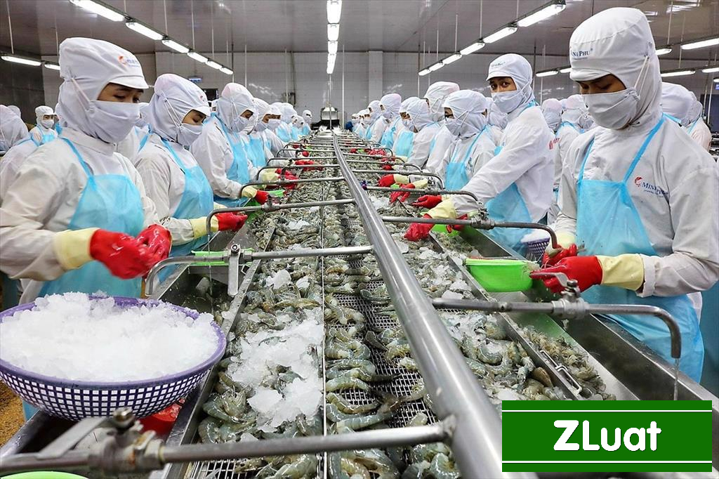 [THÁI BÌNH]- Dịch vụ cấp giấy chứng nhận quốc tế HACCP - Rẻ - Trọn gói - Nhanh phạm vi Thái Bình - Ảnh 2