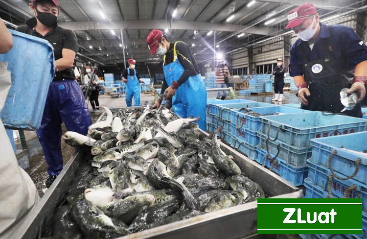 [LẠNG SƠN]- Thủ tục làm giấy chứng nhận HACCP - Nhanh - Trọn gói - Rẻ ở Lạng Sơn - Ảnh 2