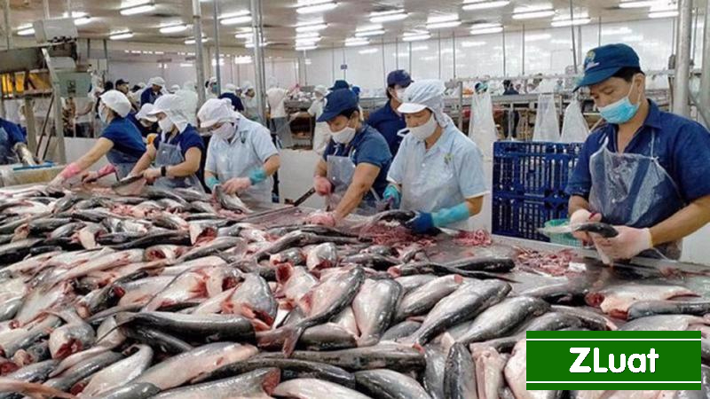 [BÌNH PHƯỚC]- Dịch vụ cấp giấy tiêu chuẩn HACCP - Nhanh - Trọn gói - Rẻ phạm vi Bình Phước - Ảnh 2