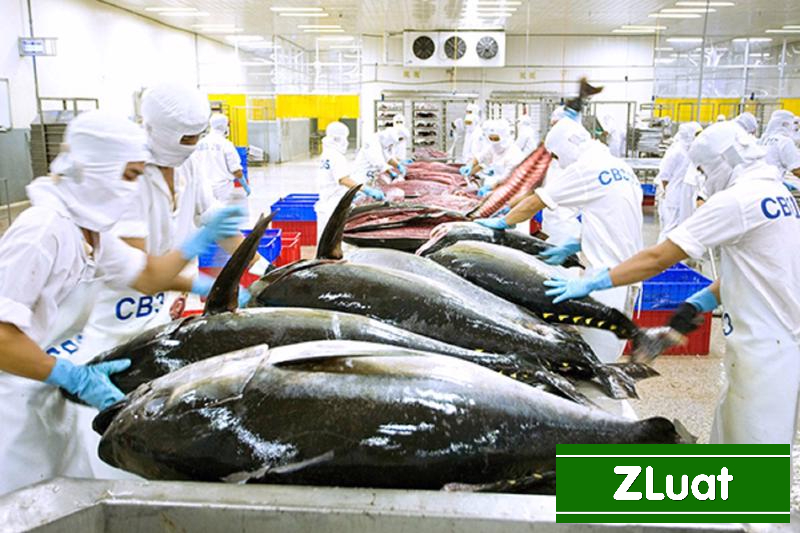 [ĐÀ NẴNG]- Thủ tục cấp giấy chứng nhận HACCP - Rẻ - Trọn gói - Nhanh phạm vi Đà Nẵng - Ảnh 2