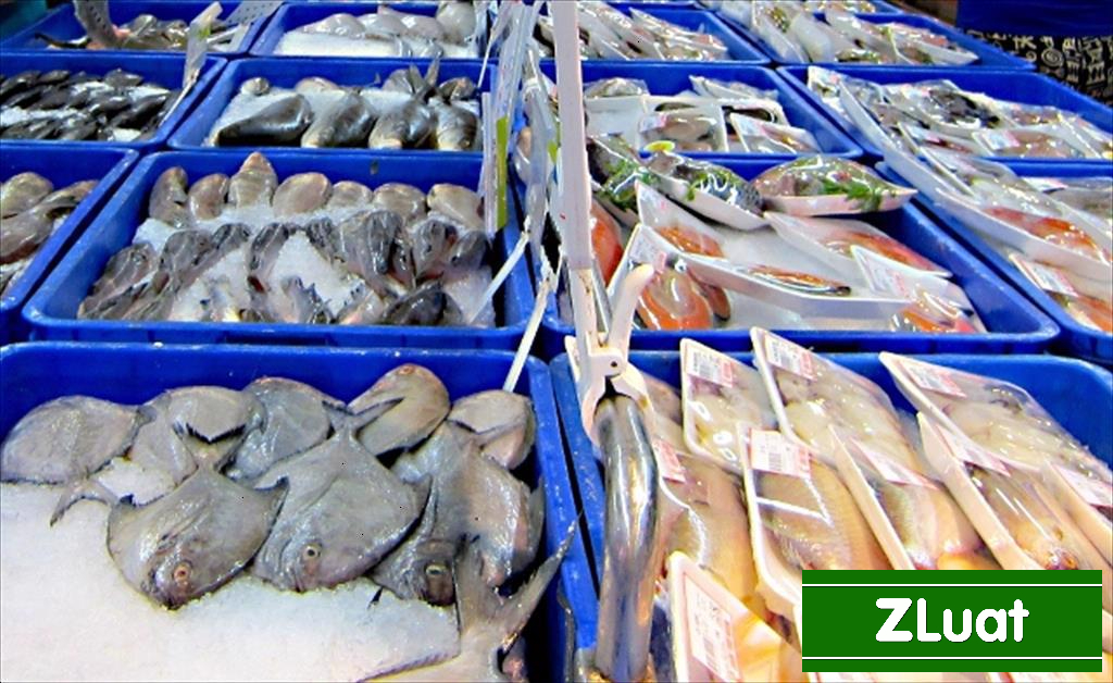 [BẮC NINH]- Dịch vụ cấp giấy chứng nhận HACCP - Rẻ - Trọn gói - Nhanh tại Bắc Ninh - Ảnh 2