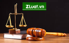 Dịch vụ hỗ trợ Bảo hộ nhãn hiệu nhanh chóng khu vực xã Cần Giờ, Thành phố Hồ Chí Minh