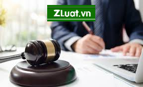 Dịch vụ trọn gói quy trình đăng ký nhãn hiệu cho tạp hóa nơi Xuân Trường, Xuân Trường, Nam Định
