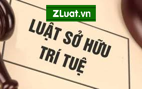 Hỗ trợ trọn gói quy trình cấp giấy chứng nhận nhãn hiệu ở địa điểm Xã Đông Thái, tỉnh An Giang