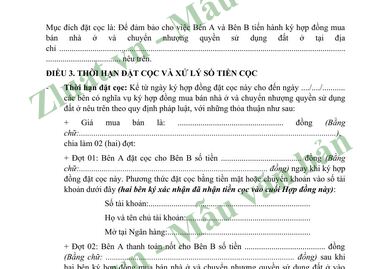 Xem trước trang 2