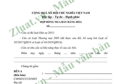 Xem trước trang 1