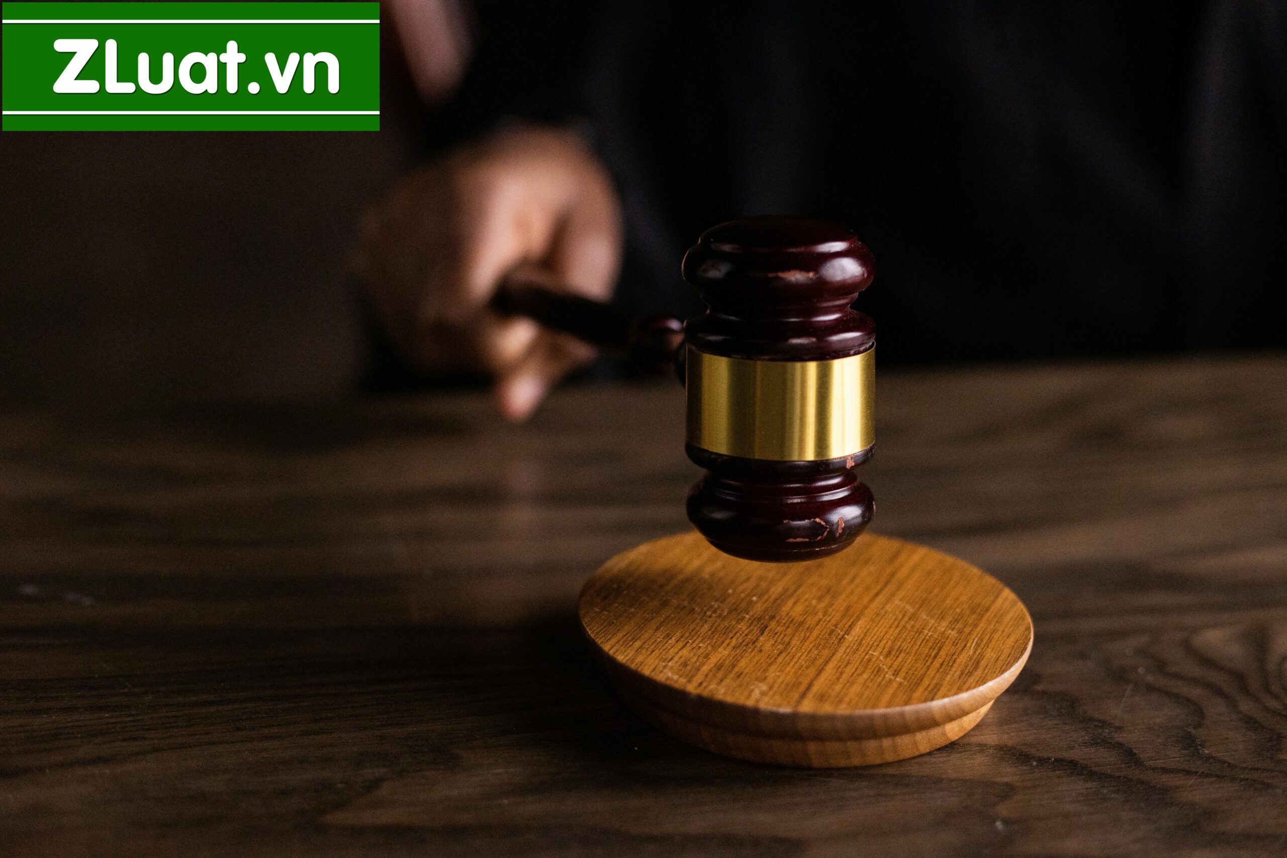 Trọn gói dịch vụ thành lập Công ty địa điểm Phường 3, Sa Đéc, Đồng Tháp - Ảnh 2
