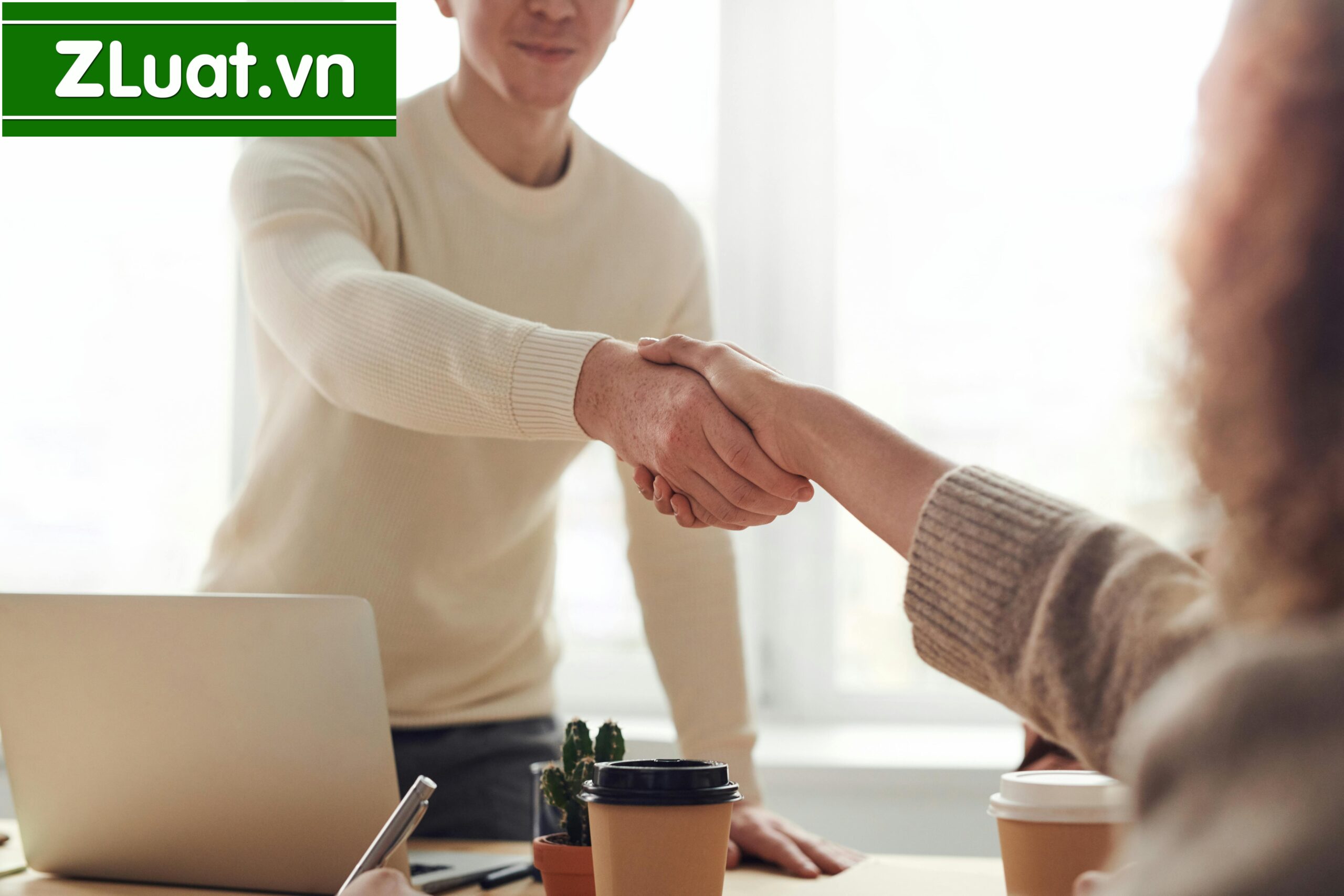 Trọn gói thủ tục lập Công ty TNHH địa điểm Cam Ranh, Khánh Hòa - Ảnh 2