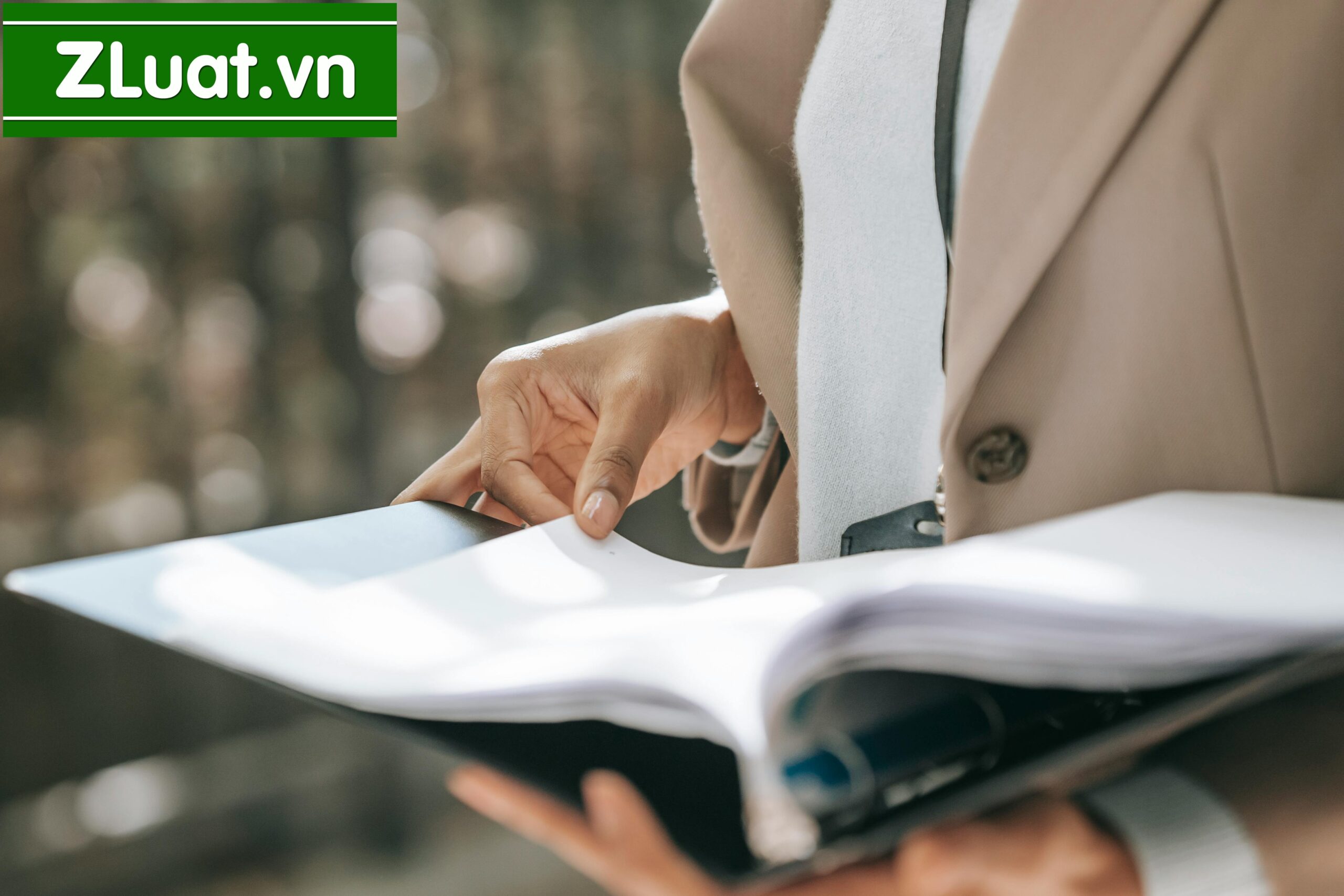 Gói Luật sư đăng ký thành lập Công ty Hợp danh ở Ea Phê, Krông Pắc, Đắk Lắk - Ảnh 2