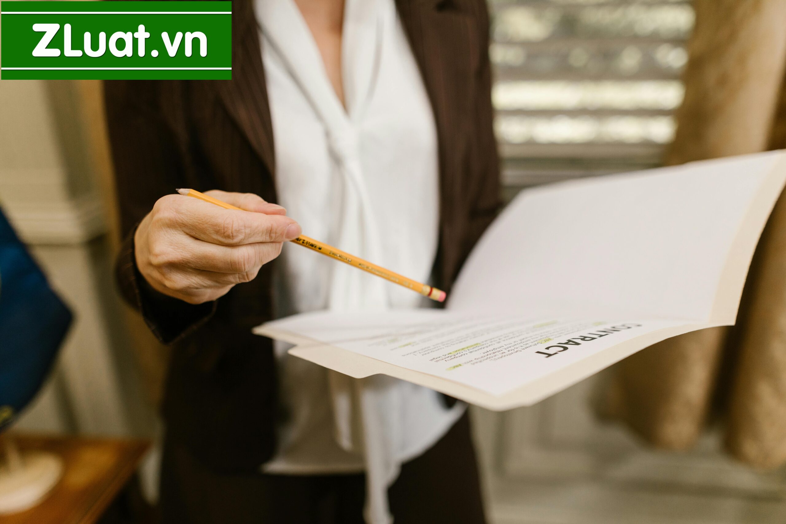 Trọn gói thành lập Công ty TNHH địa điểm Ea Đar, Ea Kar, Đắk Lắk - Ảnh 2