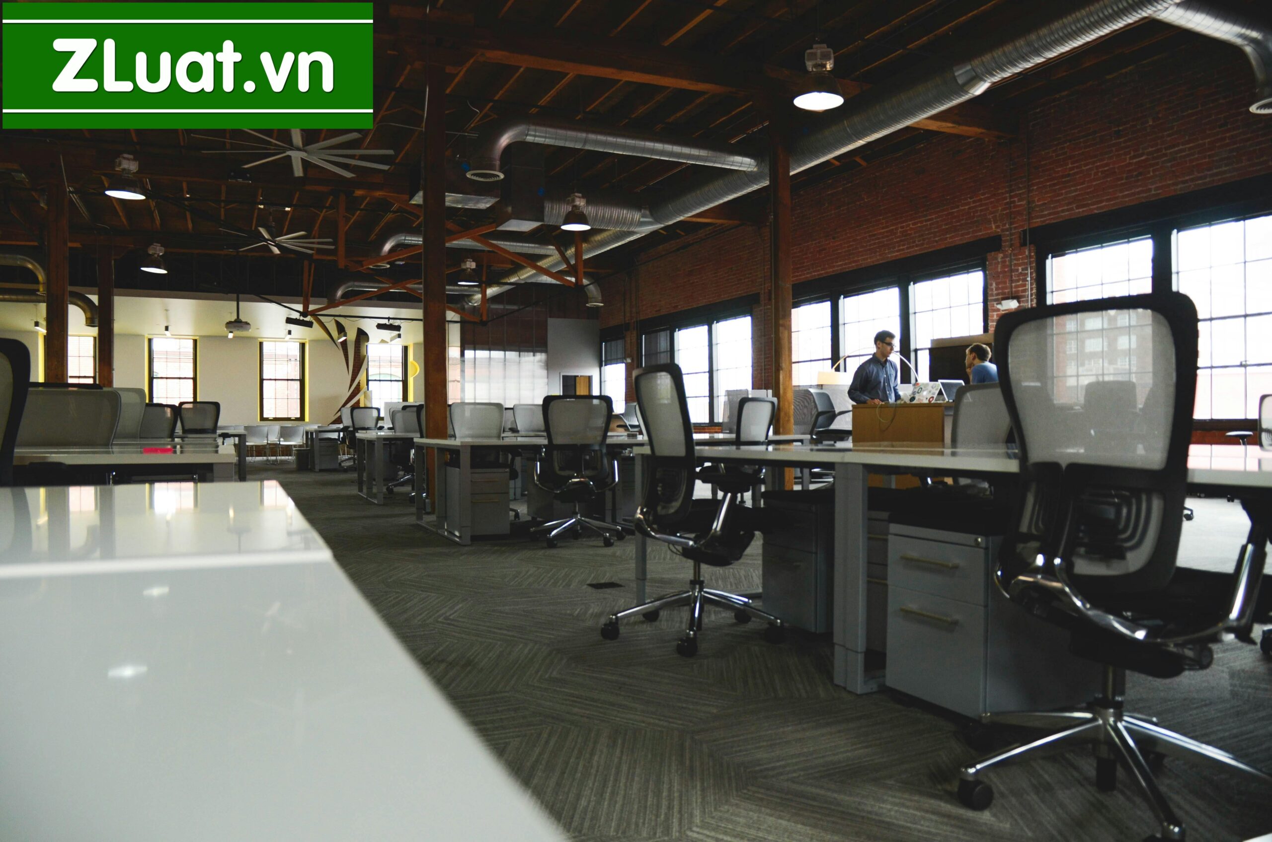 Dịch vụ tư vấn thành lập Công ty Trách nhiệm hữu hạn địa điểm Hoa Lư, Ninh Bình - Ảnh 2