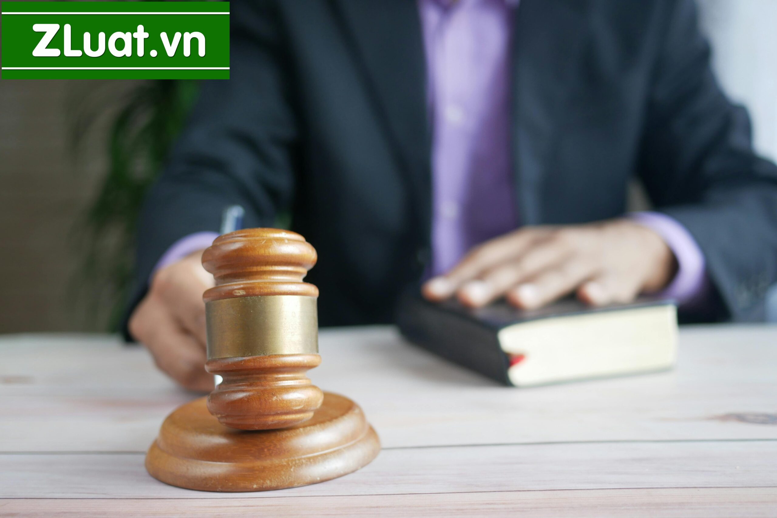 Dịch vụ lập Công ty tư nhân tại Phường Thanh Vinh, Phú Thọ, Phú Thọ - Ảnh 2