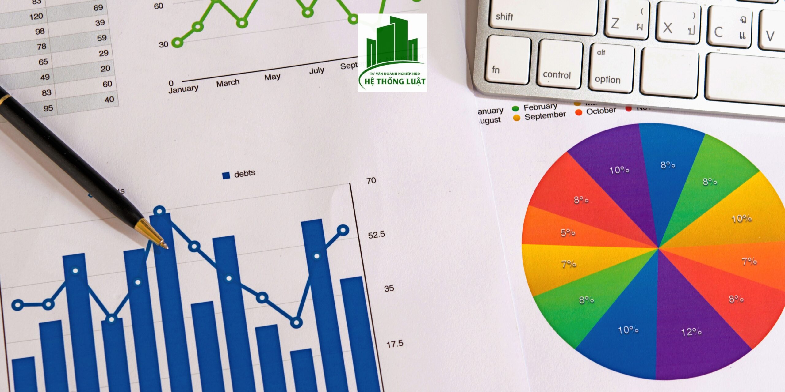 Tư vấn đại lý thuế công ty cổ phần trọn gói vùng Phì Điền, Lục Ngạn, Bắc Giang - Ảnh 2