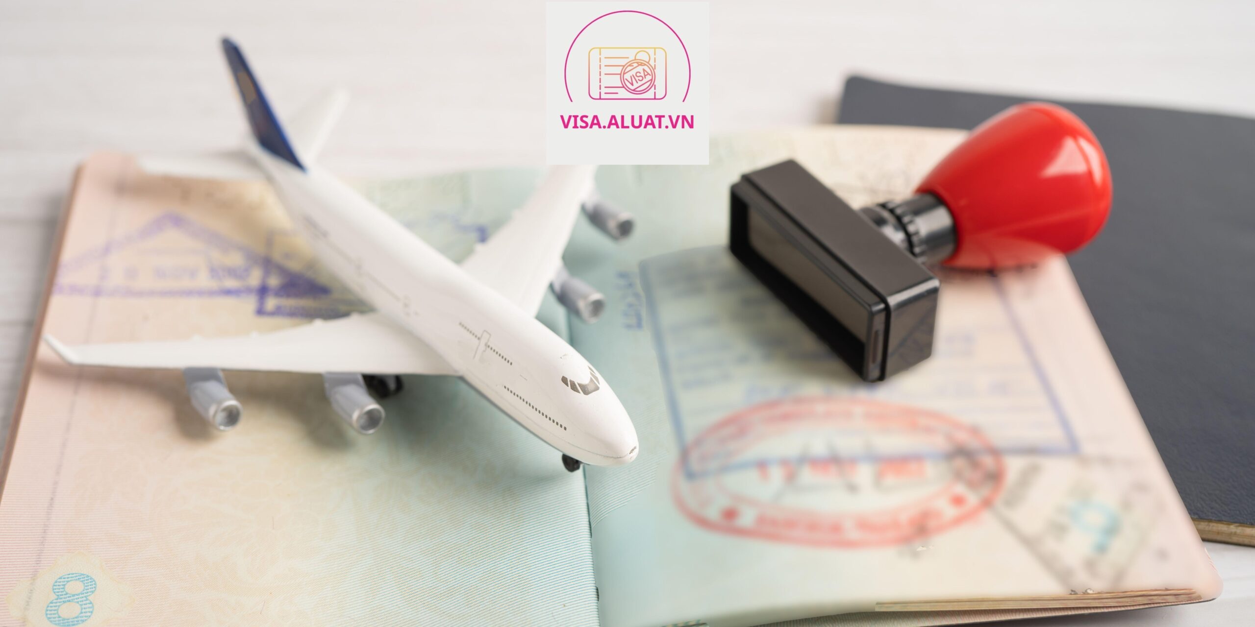 [VISA NHANH] -  Gói dịch vụ tư vấn gia hạn thời hạn VISA Trung Phi vùng xã Điềm He, Lạng Sơn<br><br> - Ảnh 2