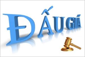 Các loại tài sản đấu giá? Luật Đấu giá tài sản 2016.