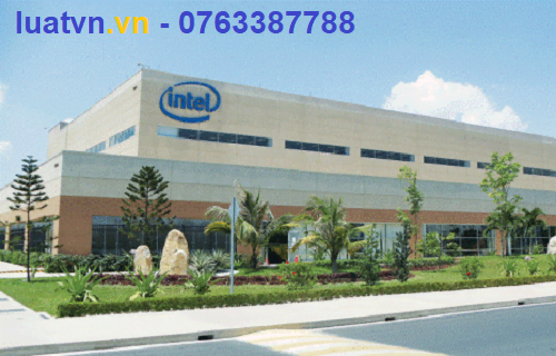 One member foreign limited company.