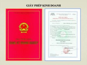 Hồ sơ, trình tự thủ tục xin giấy phép kinh doanh dịch vụ vũ trường năm 2022.