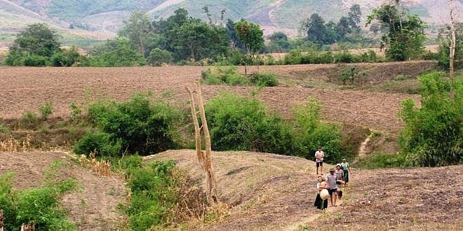 Điều kiện cấp sổ đỏ cho đất khai hoang.