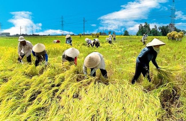 Điều kiện nhận thừa kế đất nông nghiệp.