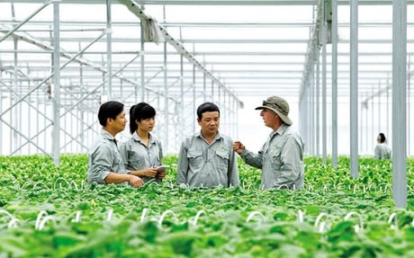 Điều kiện trở thành thành viên hợp tác xã.