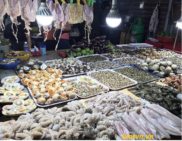 Quy định về kinh doanh hải sản tươi sống.