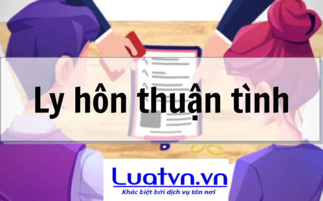 Các loại hình ly hôn.