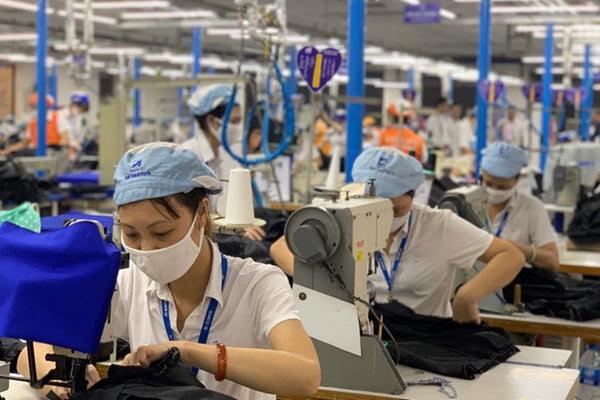 Hướng dẫn khởi kiện khi bị công ty sa thải trái pháp luật?.