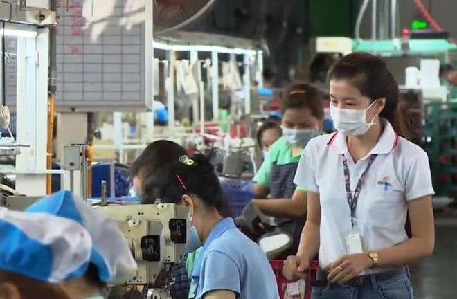Lao động thời vụ dịp Tết có được ký hợp đồng, đóng bảo hiểm?.