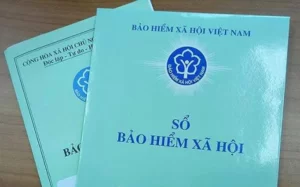 Mức đóng Bảo hiểm xã hội bắt buộc năm 2023.