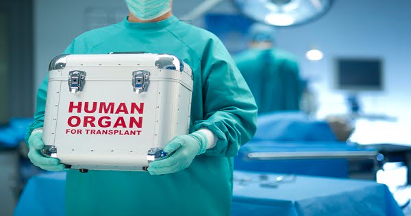 Thân nhân của người hiến tạng được hưởng những chế độ gì?.