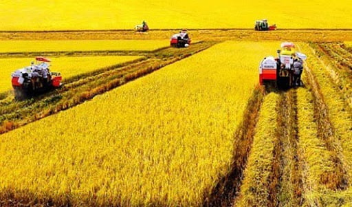 Thủ tục gia hạn quyền sử dụng đất cho hộ gia đình, cá nhân sản xuất nông nghiệp.
